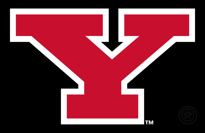 Youngstown State Penguins 2007-Pres Alt on Dark Logo diy DTF decal sticker